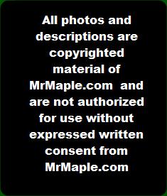 Buy JAPANESE Maples image use policy